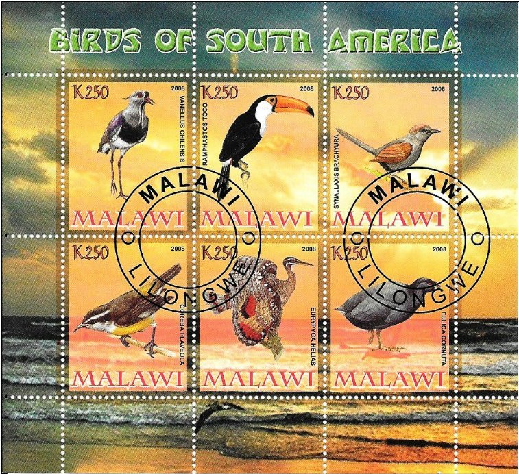 Birds of South America