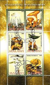 Souvenir Sheet, Mushrooms - IV., Cinderellas,  , Mushrooms, Plants (Flora)