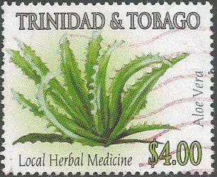 Aloe vera