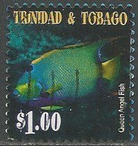 Queen Angelfish (Holacanthus ciliaris)