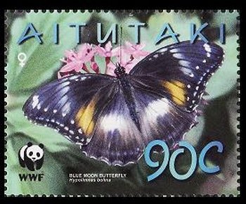 Blue Moon Butterfly (Hypolimnas bolina)