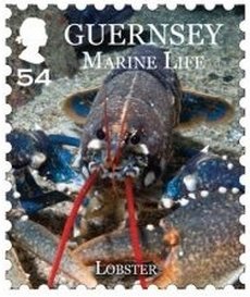 Common Lobster (Homarus gammarus)