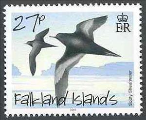 Stamp, Sooty Shearwater (Puffinus griseus), Falkland Islands,  