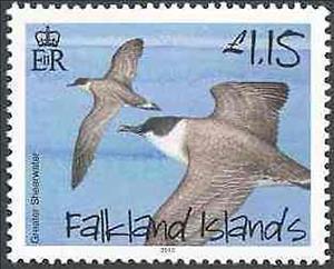 Stamp, Greater Shearwater (Puffinus gravis), Falkland Islands,  