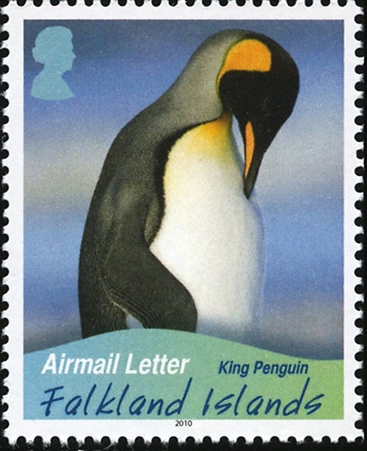 King Penguin (Aptenodytes patagonicus)