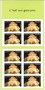 Booklet, Nouveau ne sur un lotus d'Anne Geddes, France,  
