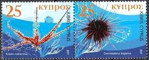 Echinodermata of Cyprus
