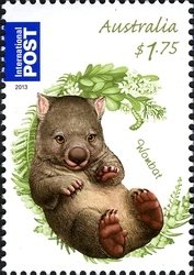 Common Wombat (Vombatus ursinus)