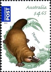 Stamp, Duck-billed Platypus (Ornithorhynchus anatinus), Australia,  , Animals (Fauna)