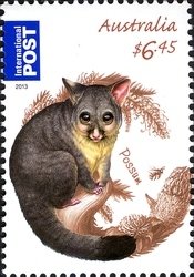 Possum