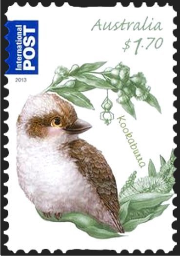 Kookaburra (Dacelo novaeguineae)