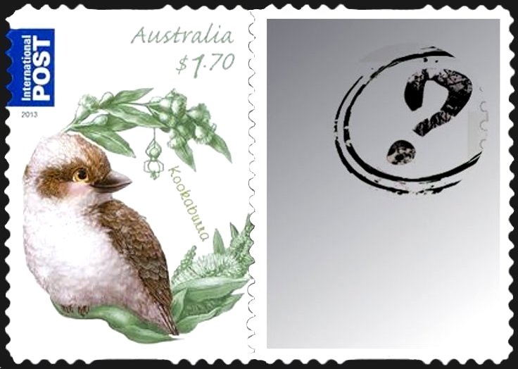 Kookaburra (Dacelo novaeguineae)