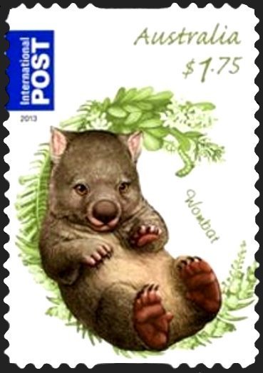 Common Wombat (Vombatus ursinus)