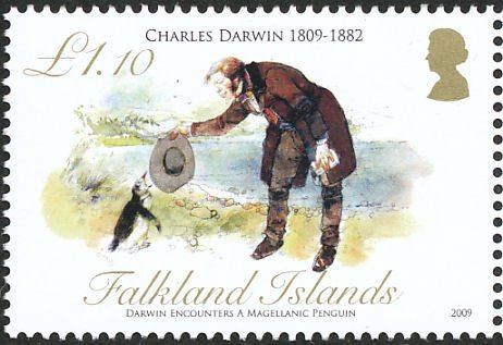Magellanic Penguin (Spheniscus magellanicus) and Charles Dar