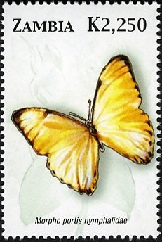 Stamp, Morpho Butterfly (Morpho portis), Zambia,  , Butterflies