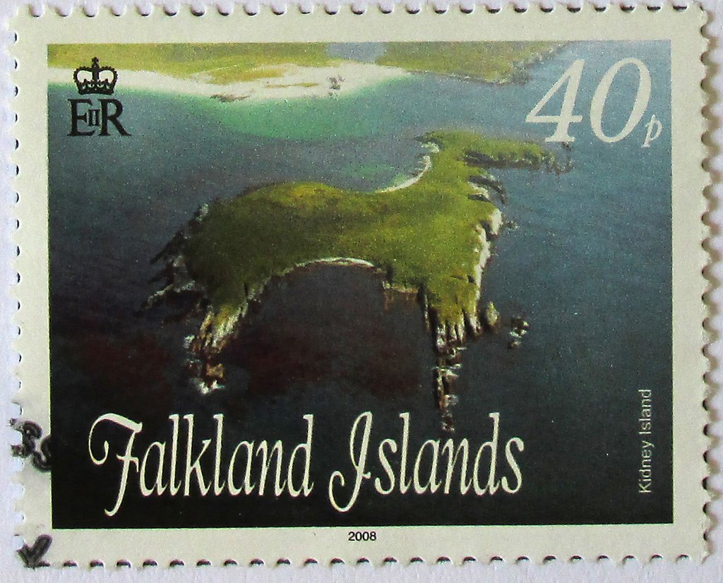 Kidney Island