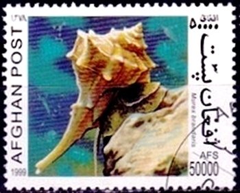 Stamp, Purple Dye Murex (Murex brandaris), Afghanistan,  , Animals (Fauna), Molluscs, Snails and Slugs