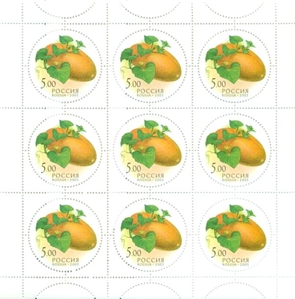 Melon