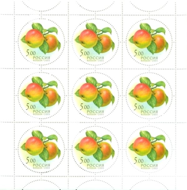 Apples