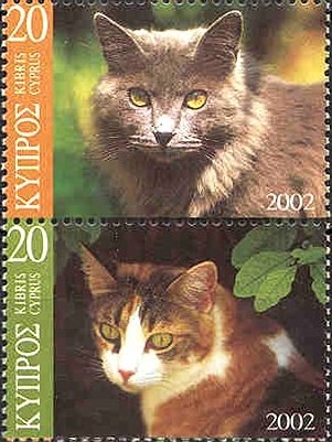 Domestic Cat (Felis silvestris catus)