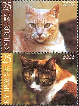 Domestic Cat (Felis silvestris catus)