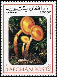Stamp, Kuehneromyces mutabilis, Afghanistan,  , Mushrooms