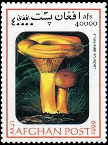 Stamp, Lactarius deterrimus, Afghanistan,  , Mushrooms