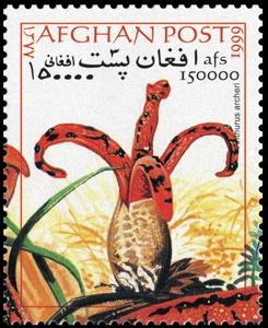 Stamp, Anthurus archeri, Afghanistan,  , Mushrooms