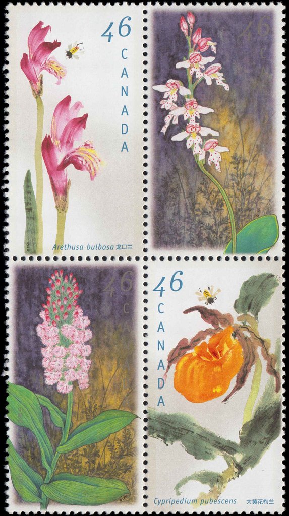 Canadian Orchids