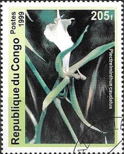 Stamp, Plectreiminthus caudatus, Congo, Republic (Brazzaville),  , Flowers, Orchids
