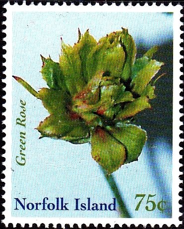 Green Rose