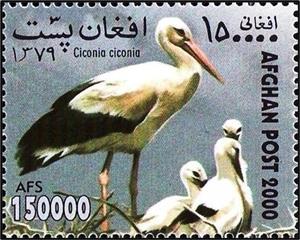 Stamp, White Stork (Ciconia ciconia), Afghanistan,  , Birds, Storks, Animals (Fauna)
