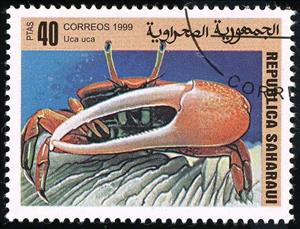 Stamp, Uca uca, Cinderellas,  , Sea Life, Crustaceans, Animals (Fauna), Crabs