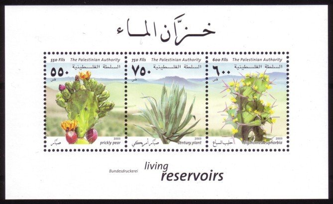 Souvenir Sheet, Succulent Plants