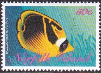 Raccoon Butterflyfish (Chaetodon lunula)