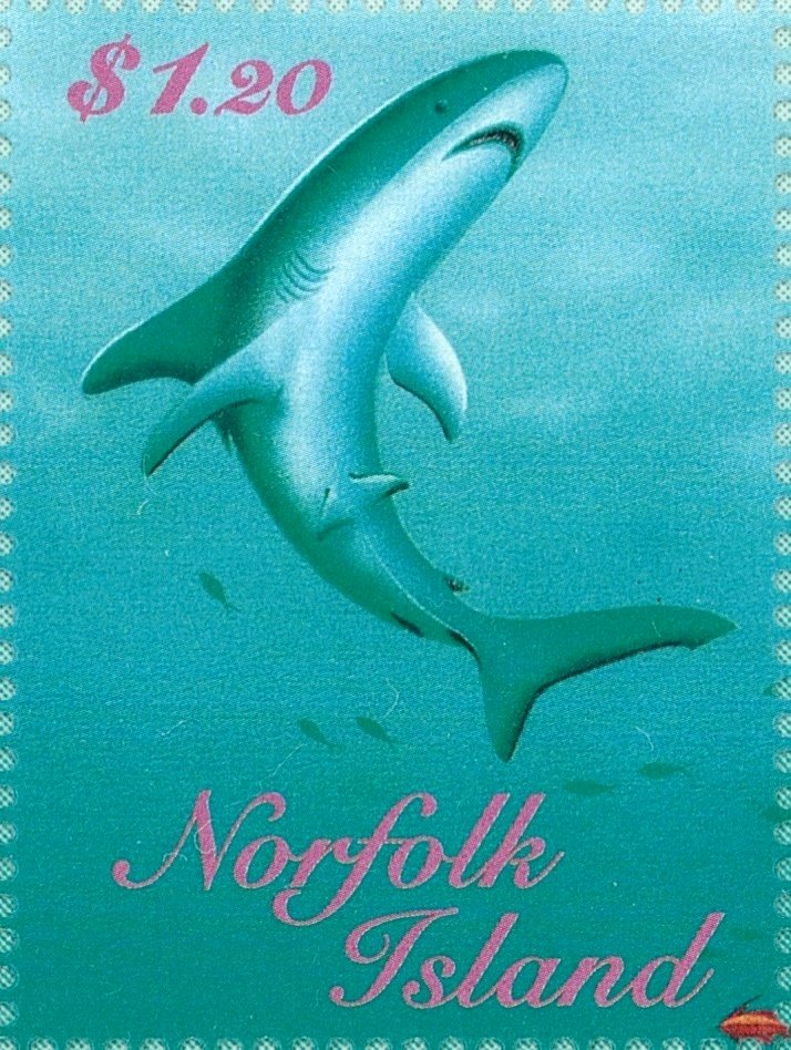Shark