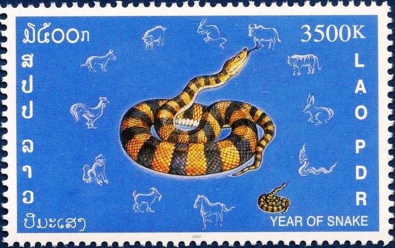 Snake