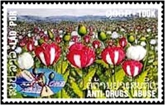 Poppy field
