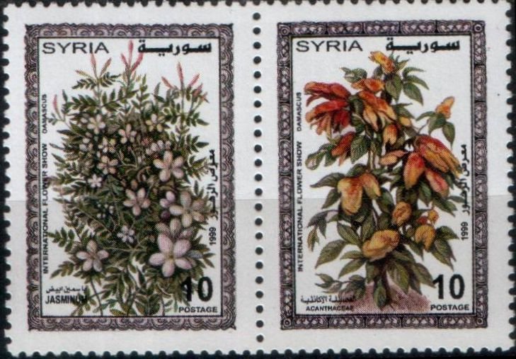 Intl. Flower Show
