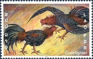 Stamp, Fighting Cocks (Gallus gallus domesticus), Laos,  , Poultry, Animals (Fauna), Roosters and Chickens