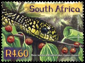 Stamp, Boomslang (Dispholidus typus typus), South Africa,  , Philatelic Exhibitions, Reptiles, Snakes, Animals (Fauna)