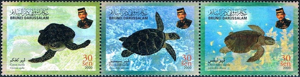 Se-tenant, Turtles, Brunei Darussalam,  , Sea Life, Turtles, Animals (Fauna)
