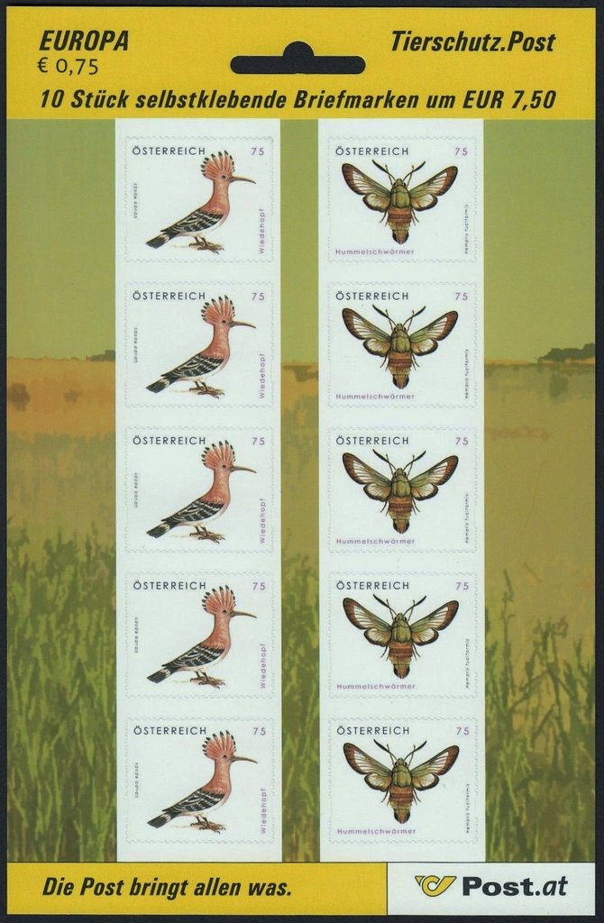 Eurasian Hoopoe (Upupa epops), Broad-bordered Bee Hawkmoth (
