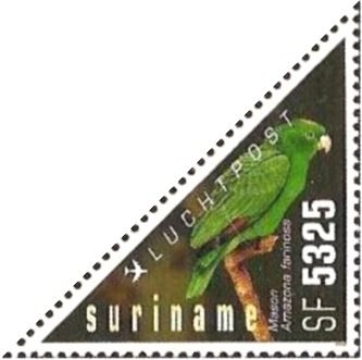 Mealy Amazon (Amazona farinosa)