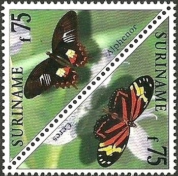 Common Mormon (Papilio polytes), Large Tiger (Lycorea ceres)