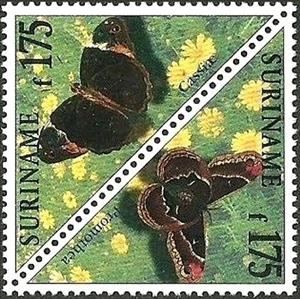 Se-tenant, Promethea Silkmoth (Callosamia promethea), Cassia's Owl-Butt, Suriname,  , Insects, Butterflies, Triangle Stamps