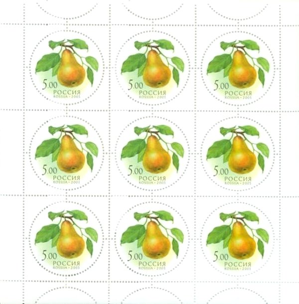 Pear