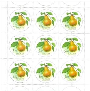 Mini Sheet, Pear, Russia,  , Fruits, Plants (Flora)
