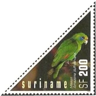 Blue-cheeked Amazon (Amazona dufresniana)