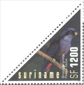 Stamp, Dusky Parrot (Pionus fuscus), Suriname,  , Birds, Parrots, Triangle Stamps